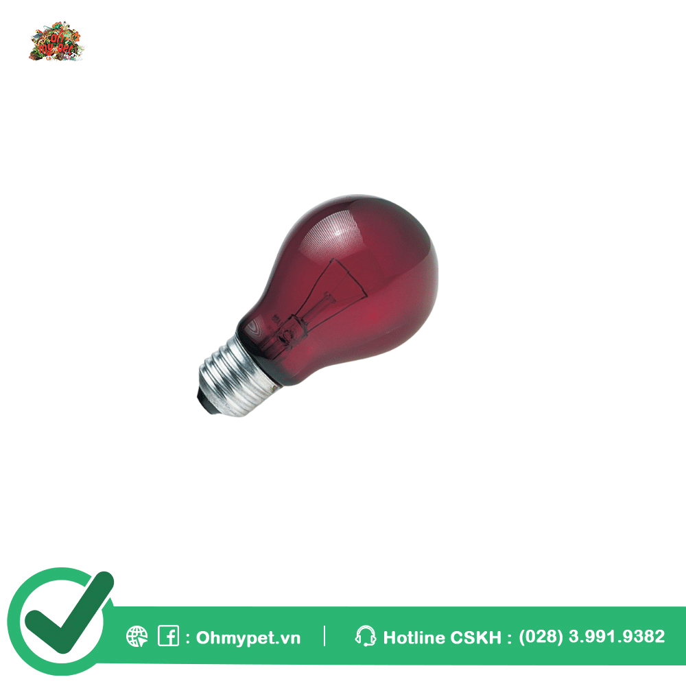 Nightlight red top reptile bulb
