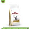 ROYAL CANIN | Thức ăn cho mèo hỗ trợ đường tiết niệu | Urinary S/O Feline