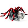 OHMYPET - Đồ hóa trang Halloween