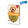 BAYER ADVOCATE : Thuốc nhỏ trị bọ chét, ve, giun, ghẻ