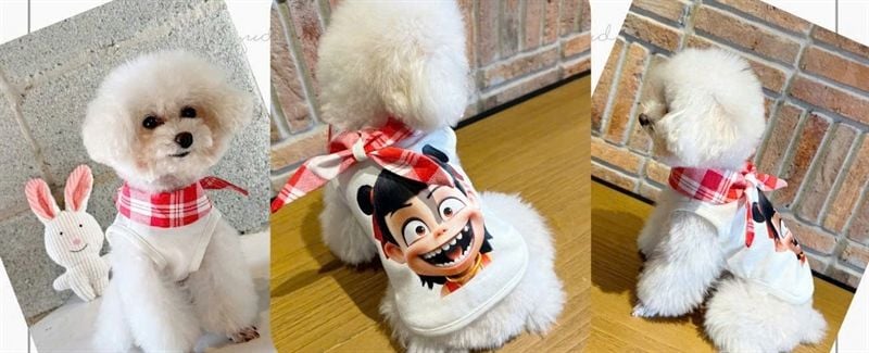  Áo thun chó mèo yudog 