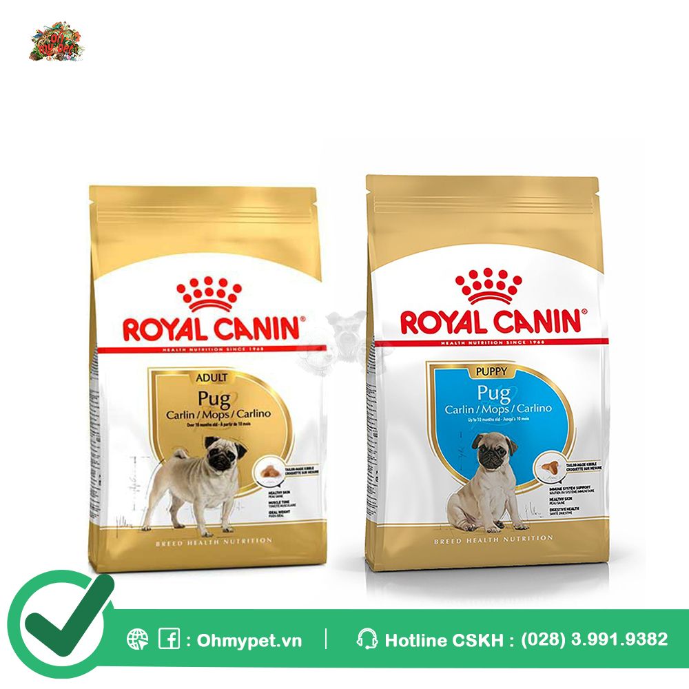 ROYAL CANIN Thức ăn hạt cho chó Pug