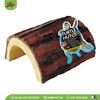 Hang rùa | Turtle Hut | ZOOMED