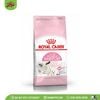 ROYAL CANIN | Thức ăn hạt cho mèo mẹ và mèo con | Mother & Baby cat