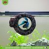  Hang nổi cho cá | Floating Betta Log | ZOOMED 