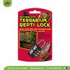 Ổ khóa | Repti Lock | ZOOMED