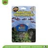 Nhiệt kế thủy sinh | Aquatic Thermometer | ZOOMED