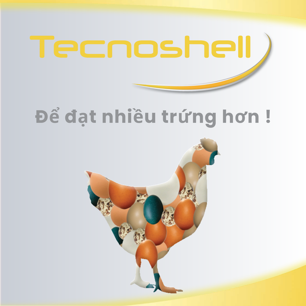 TECNOSHELL