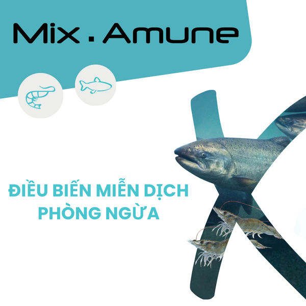 MIX - AMUNE