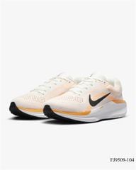 Giày running Nike Winflo 11-FJ9509-104