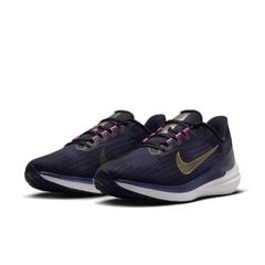 Giầy chạy bộ Giầy Nike Air Winflo 9 Nam DD6203-007