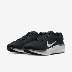 Giày chạy bộ Nike Winflo 11 - FJ9509-001