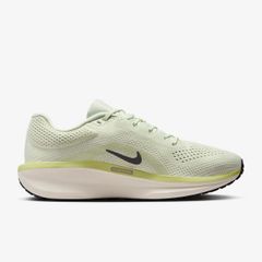 Giày chạy bộ Nike Winflo 11 - FJ9509-007