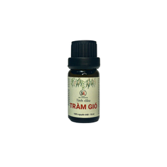 Tinh dầu Tràm Gió DakLak (Cajuouty Oil)