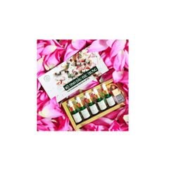 Bộ quà tặng 5 tinh dầu đặc trưng (Gift Set)