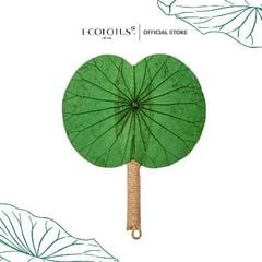 Quạt lá sen ngang Ecolotus - Xanh lá