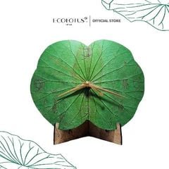 Đồng hồ lá sen Ecolotus - Xanh lá