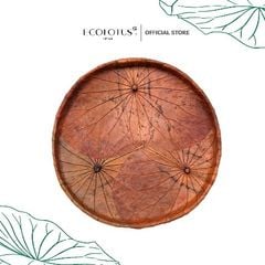 Nia lá sen Ecolotus - Cam