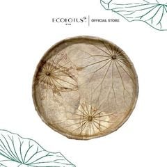 Nia lá sen Ecolotus - Mộc