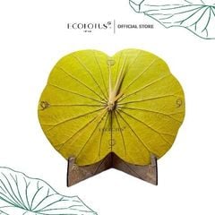 Đồng hồ lá sen Ecolotus - Vàng