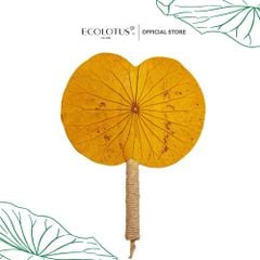 Quạt lá sen ngang Ecolotus - Vàng