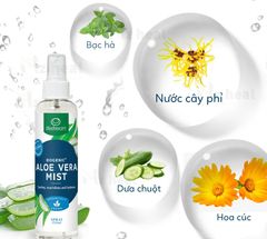 Xịt Lô Hội Làm Dịu Da ALOE VERA MIST - Lifestream