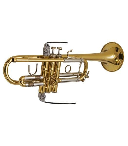  Khăn lau valve kèn Trumpet Microfiber BG A31T2 