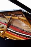  Grand Piano Petrof Master Series P237 Monsoon 