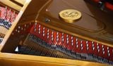  Grand Piano Petrof Master Series P237 Monsoon 