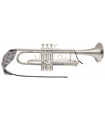  Vải Lau Lead Pipe Kèn Trumpet Microfiber BG - A31T 