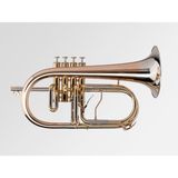  Adams Flugelhorn F4 (Lacquered, Included case Adams) 