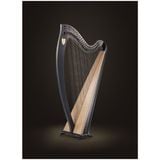  Đàn Harp Lever Lyon & Healy Ogden Ebony 