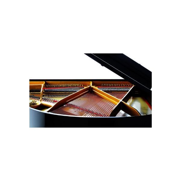  Grand Piano Petrof Standard Series Grand P159 Bora 