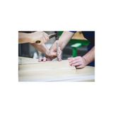  Đàn Piano Grand Petrof Style Collection Grand P173 Breeze Chippendale 