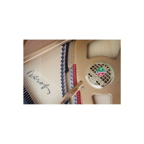  Đàn Piano Grand Petrof Style Collection Grand P173 Breeze Demichippendale 