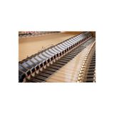  Đàn Piano Grand Petrof Style Collection Grand P173 Breeze Demichippendale 