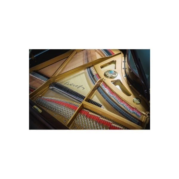  Đàn Piano Grand Petrof Standard Series Grand P173 Breeze 