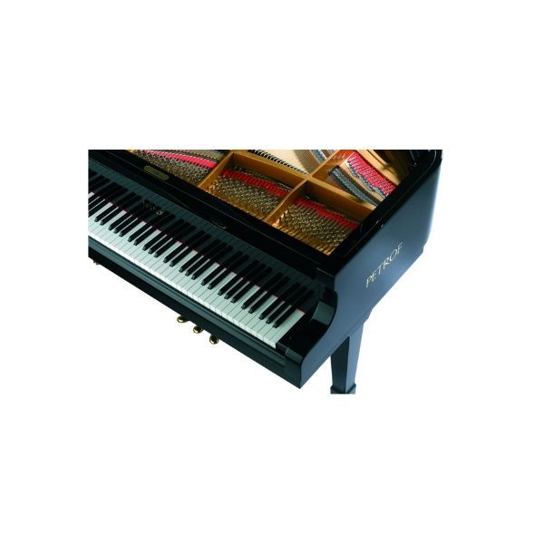  Grand Piano Petrof Standard Series Grand P194 Storm 