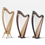  Đàn Harp Lever Lyon & Healy Ogden Ebony 