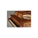  Đàn Piano Grand Petrof Special Collection Madrona 