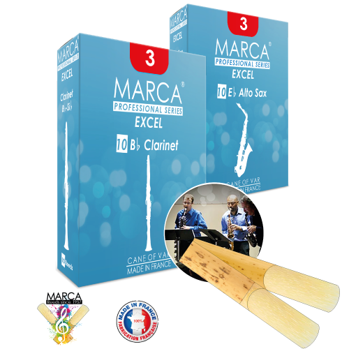  Dăm kèn Saxophone Alto Marca Excel 3.0 