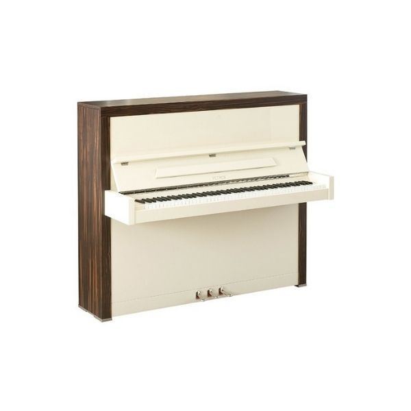  Upright Piano Petrof Special Collection Cabinet 