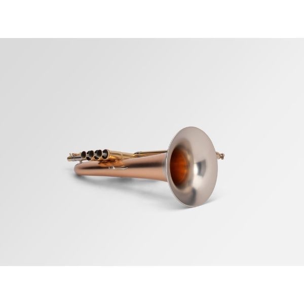  Adams Flugelhorn F1 (Satin Lacquered, Included case Adams) 