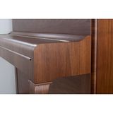  Đàn Piano Upright P 118 D1 Demichippendale 