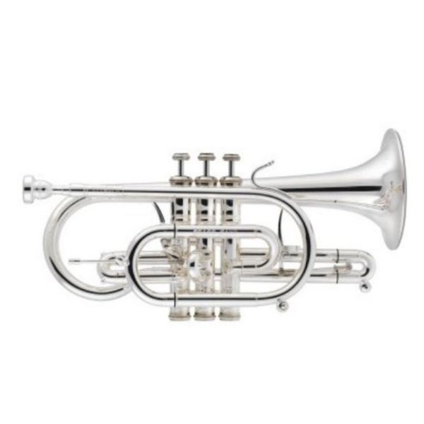  Kèn Cornet Bb Stomvi Titan 5857 Goldbrass Silver Plated 