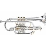  Kèn Cornet Bb Besson BE2028-2G-0 Goldbrass Bell, Silver Plated 