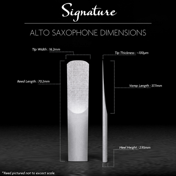  Dăm kèn Saxophone Alto Legere Signature 2.75 