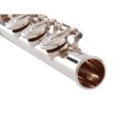  Sáo Flute Powell Custom, 14K aurumite ST RBEC# 