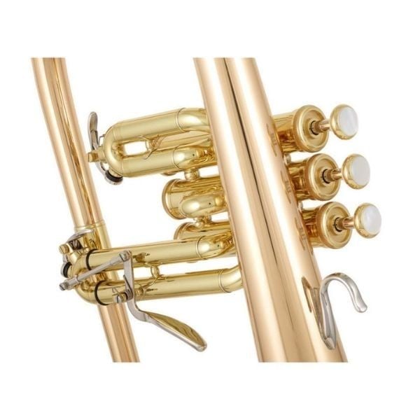  Kèn Flugelhorn Yamaha YFH-8310 ZG 