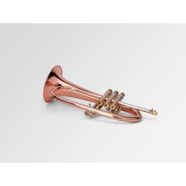  Kèn Flugelhorn Adams F5 